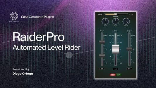 RaiderPro: Engineering a Real-Time Automated Level Rider - casa occidente